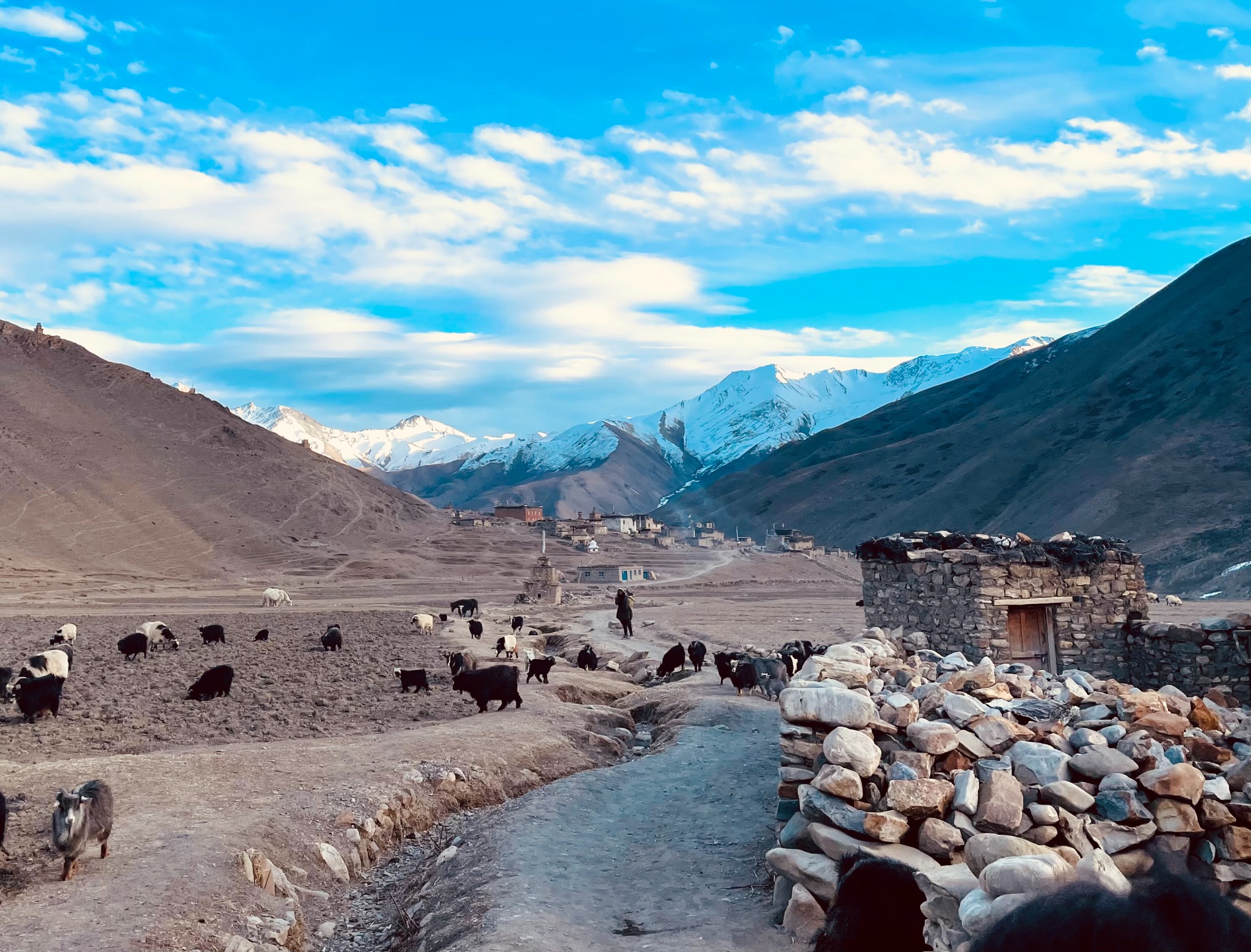 Mountain community landscape from Aralar’s original collection